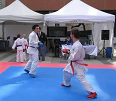 Karate Action Replay System 